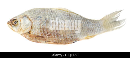 Getrockneter Fisch Karausche Karpfen isolierten auf weißen Hintergrund, Datei enthält einen Beschneidungspfad. Stockfoto