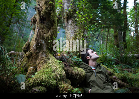 Hamilton Boyce betrachtet den üppigen Wald um ihn herum sieben und eine halbe Meile Camp, entlang der Eagle Creek Trail, Columbia River Gorge National Scenic Area, Oregon. Stockfoto