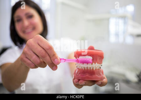 Zahnarzt dental Kiefer-Modell mit einer Zahnbürste reinigen Stockfoto