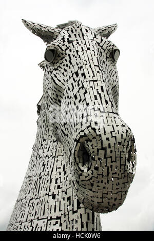 Der Kopf eines riesigen Kelpie Pferd Skulpturen im Helix Park in Falkirk, Schottland. Sie wurden von Andy Scott entworfen. Stockfoto