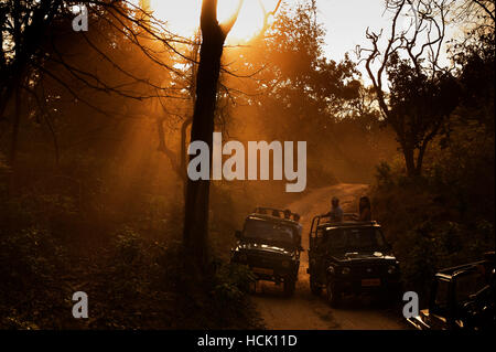 Touristen auf Safari-Jeeps warten auf einen Tiger Sichtung bei Sonnenuntergang im Corbett National Park, Uttarakhand, Indien Stockfoto