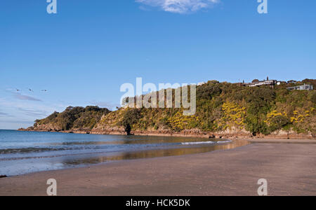 Kleinen Oneroa Strand; Waiheke Island, Neuseeland Stockfoto