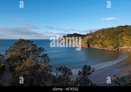 Kleinen Oneroa Strand; Waiheke Island, Neuseeland Stockfoto