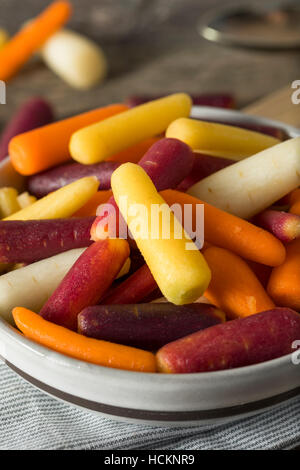 RAW Organic Rainbow Baby-Karotten essfertig Stockfoto