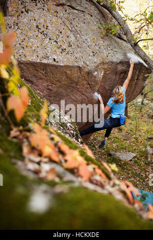 Alex Johnson Dynos für die Lippe beim Bouldern in Schweden Wald in der Nähe von Sacred Heart, Minnesota, 7. Oktober 2010. Stockfoto