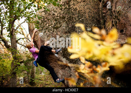 Alex Johnson Klettern in Schweden Wald in der Nähe von Sacré-Coeur Minnesota, 7. Oktober 2010. Stockfoto