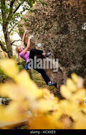 Alex Johnson Klettern in Schweden Wald in der Nähe von Sacré-Coeur Minnesota, 7. Oktober 2010. Stockfoto