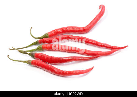 5 Red Hot Chili Peppers auf weißem Hintergrund Stockfoto