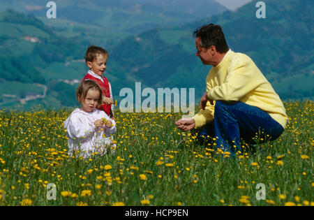 Vater mit seinen beiden Kindern zu spielen, auf einer Blumenwiese, Losenstein, Oberösterreich, Österreich Stockfoto