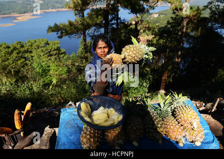 Frische Ananas Umiam See in der Nähe von Shillong, Indien verkauft. Stockfoto