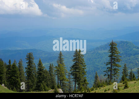 Sieben Leitern Canyon und Piatra Mare Stockfoto