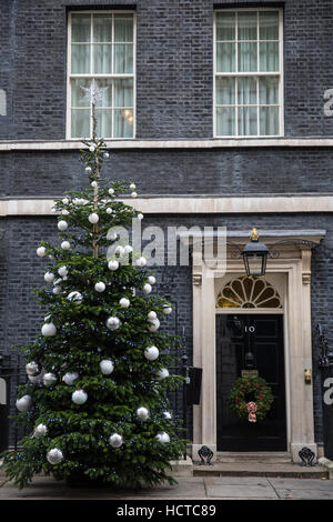 London, UK. 9. Dezember 2016. Die Downing Street Weihnachtsbaum, ein fast 22-Fuß-Tannenbaum, gestiftet von der Baum-Scheune. Stockfoto