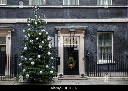 London, UK. 9. Dezember 2016. Die Downing Street Weihnachtsbaum, ein fast 22-Fuß-Tannenbaum, gestiftet von der Baum-Scheune. Stockfoto