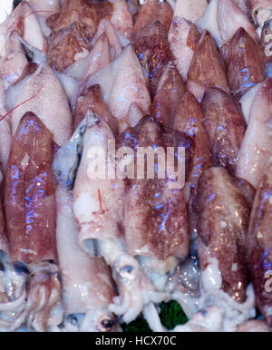 Frischer Tintenfisch in Fischmarkt Stockfoto