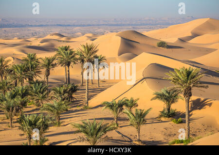 Remah Wüste, Al Ain, Abu Dhabi, Vereinigte Arabische Emirate, Naher Osten Stockfoto