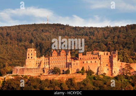 Burg bei Sonnenuntergang, Heidelberg, Baden-Württemberg, Deutschland Stockfoto