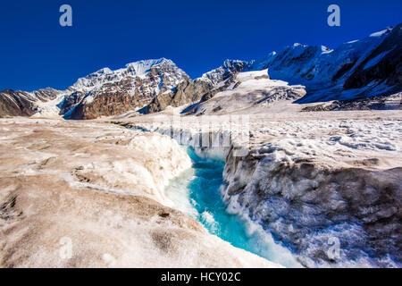 Hubschrauberlandeplätze auf West-Gabel-Gletscher in Alaska, USA Stockfoto