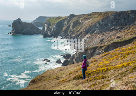 Eine Frau blickt auf dramatische Küste Cornwalls nahe Kynance Cove auf der Lizard Halbinsel, Cornwall, UK Stockfoto