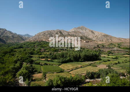 Ein Dorf und Terrassenfelder von Weizen und Kartoffeln im Panjshir-Tal in Afghanistan Stockfoto