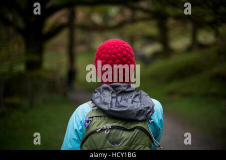 Eine Frau geht in den Wald in der Nähe von Grasmere in The Lake District, Cumbria, UK Stockfoto