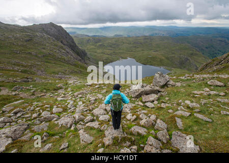 Wandern in Great Langdale mit Blick auf scheut Tarn in Ferne, Nationalpark Lake District, Cumbria, England Stockfoto