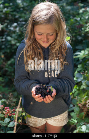 Ein kleines Mädchen Futter für Brombeeren in Cornwall, Großbritannien Stockfoto