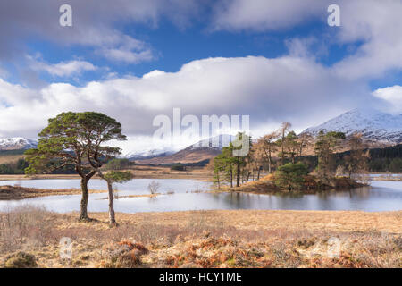 Loch Tulla, Bridge of Orchy, Glencoe, Argyll and Bute, Scotland, UK Stockfoto