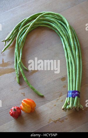 Yardlong Bohnen, Vigna unguiculata Stockfoto