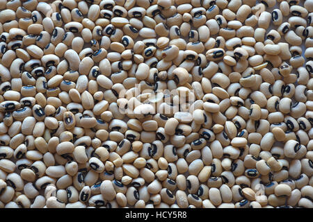 Schwarzäugige Bohnen Stockfoto