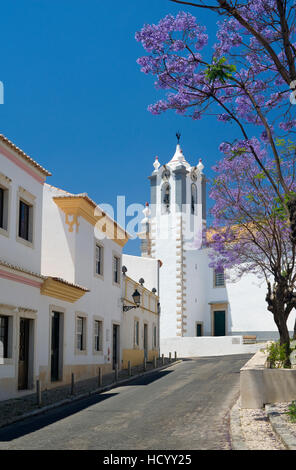 Portugal Algarve, Estoi Dorf Straße und Kirche mit Jacaranda-Bäume in Blüte Stockfoto