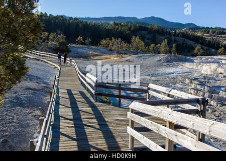 Touristen auf der Promenade in Mammoth Hot Springs, Yellowstone-Nationalpark; Wyoming; USA; Stockfoto