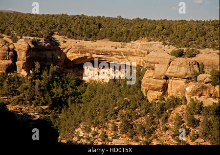 Cliff Palace Mesa Verde aus über eine Schlucht zeigt die Struktur eingelassen in die Felswand.  Foligae von immergrünen Bäumen Stockfoto