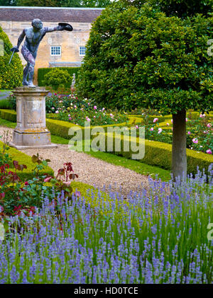 Lavendel in The Rose Parterre Grimsthorpe Schloß in Lincolnshire England UK nach Hause von der Familie De Eresby seit 1516 Stockfoto