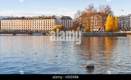 Genf, Schweiz - 20. November 2016: Stadtbild von Genf Stadt. Rousseau-Insel und Park auf Rhone in Herbstsaison Stockfoto