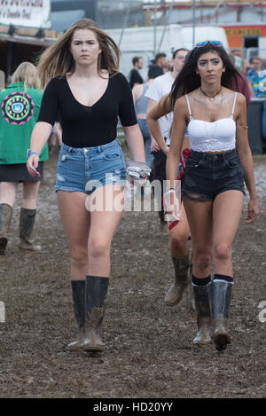 Leeds Festival 2016 D: Atmosphäre, Gast wo: Braham Park, Vereinigtes Königreich bei: 26. August 2016 Stockfoto