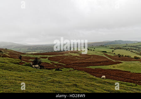 Blick vom Evangelium Pass Road Bwlch yr Efengyl - die höchste asphaltierte Straße in Wales Stockfoto