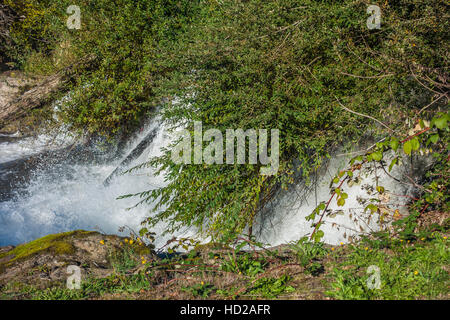 Closeup Aufnahme eines Teils der Tumwater fällt mit Büschen hängen über dem Wasser. Stockfoto