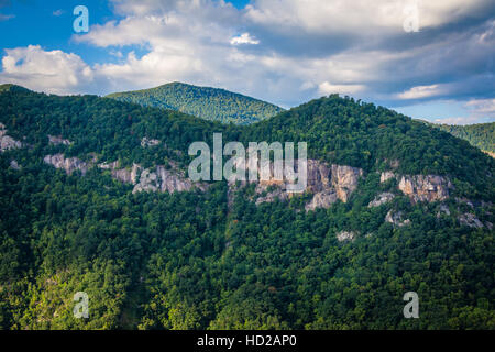 Blick vom Preikestolen, in Chimney Rock State Park, North Carolina. Stockfoto