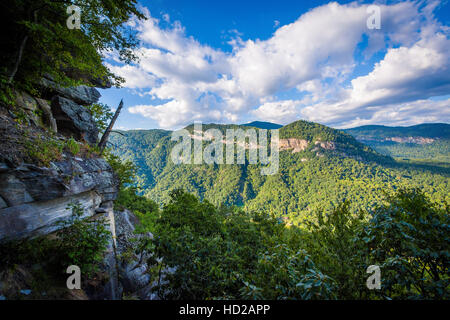 Blick vom Preikestolen, in Chimney Rock State Park, North Carolina. Stockfoto