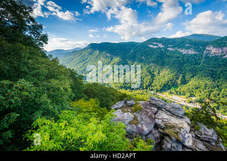 Blick vom Preikestolen, in Chimney Rock State Park, North Carolina. Stockfoto