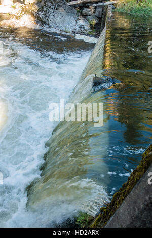 Fließendes Wasser bei Tumwater Wasserfällen schafft einen glänzende Vorhang. Stockfoto