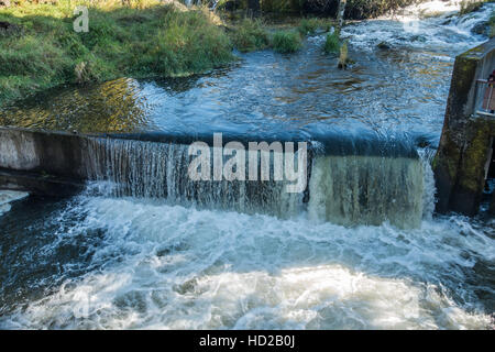 Fließendes Wasser bei Tumwater Wasserfällen schafft einen glänzende Vorhang. Stockfoto