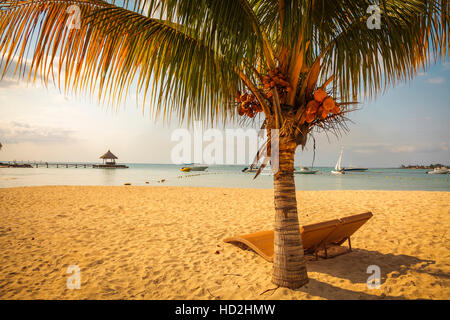 Beach Lounge Stühle unter dem Schatten einer Kokospalme mit Blick aufs Meer, Mauritius Stockfoto