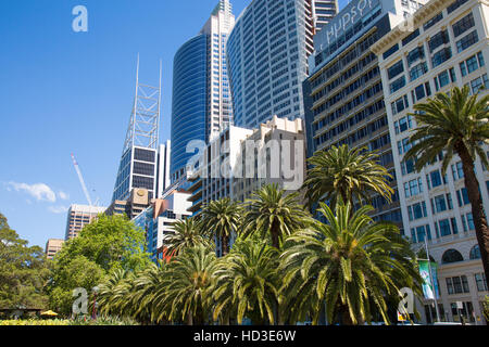 Bürogebäude, einschließlich Aurora RBS und Chifley Turm an der Macquarie Street in Sydney, New South Wales, Australien Stockfoto