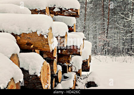 Protokolle gestapelt unter dem Schnee im Wald. Stockfoto