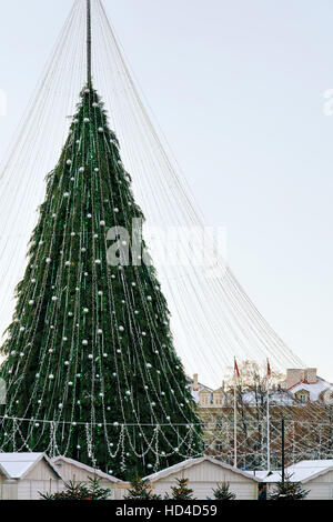 Weihnachtsbaum mit Dekoration am Weihnachtsmarkt am Domplatz in Vilnius Litauen installiert. Es hat Lichterketten, als ob Braut Verschleierung. Stockfoto