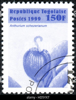 TOGO - CIRCA 1999: Eine Briefmarke gedruckt in Togo, zeigt die Blume Anthurium Schezerianum circa 1999 Stockfoto