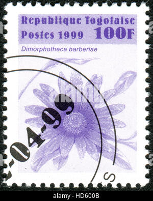 TOGO - CIRCA 1999: Eine Briefmarke gedruckt in Togo, zeigt die Blume Dimorphotheca Barberiae circa 1999 Stockfoto