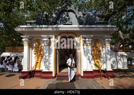 Betsaal, Jaya Sri Maha Bodhi hinter Heiligen Feigenbaum, heilige Stadt Anuradhapura, North Central Province, Sri Lanka Stockfoto