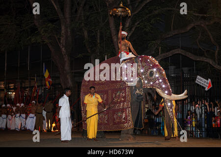 Geschmückten Elefanten, buddhistische Festival Esala Perahera, Kandy, Central Province, Sri Lanka Stockfoto